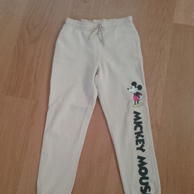 Mickey Mouse Trainer 
