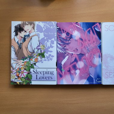 Manga - lots bl