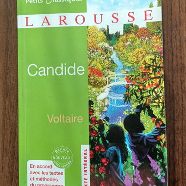 Candide – school edition; profile of a work