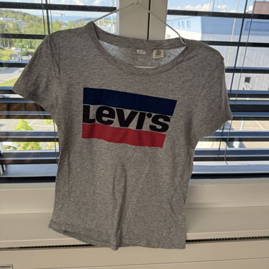 Levi's Grey T-shirt