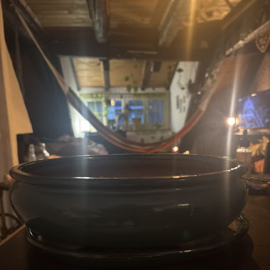 Bonsai Topf 