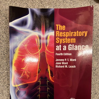 Respiratory system 4. Edition