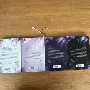 Celestial City Reihe Band1–4