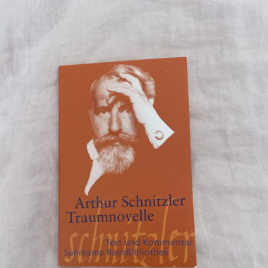 Traumnovelle