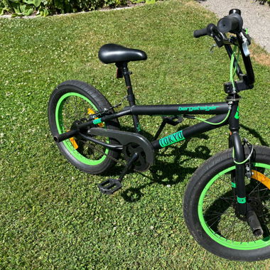 Bergsteiger BMX Grün Schwarz