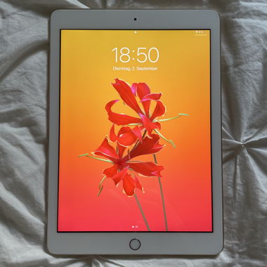 iPad (5ª generazione)