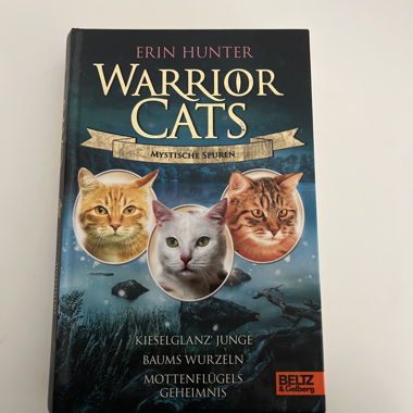 Warrior Cats Buch