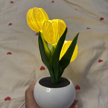 Lampe Tulipe
