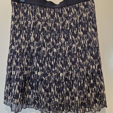 Pleated Skirt with Blue Pattern