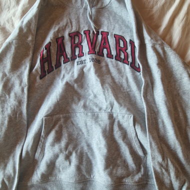 Felpa Harvard grigia