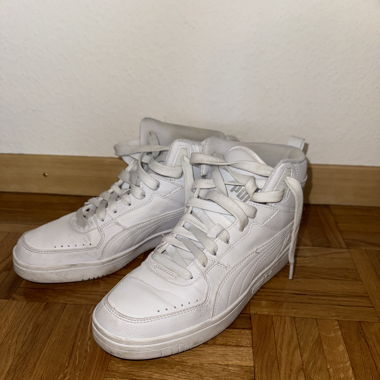 Puma 