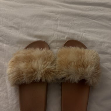 House Slippers 