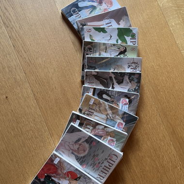 CIPHER Manga Volume 1-11
