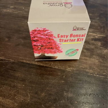 Set de démarrage pour bonsaï