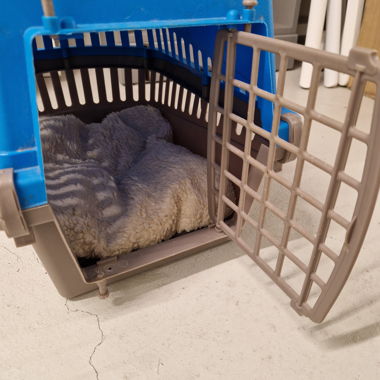 Katzen Tasche