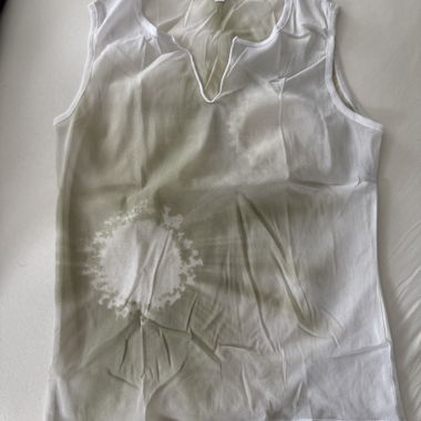 sheer vintage top