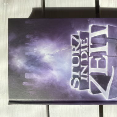 Buch: Sturz in die Zeit