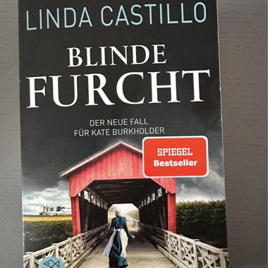 Linda Castillo Thriller Buch