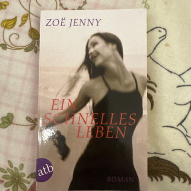 Zoë Jenny - A Fast Life (Roman)