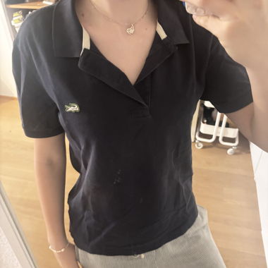 Polo Lacoste Live