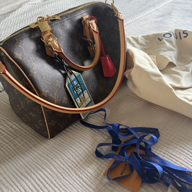 Louis Vuitton speedy soft 30 crafty 