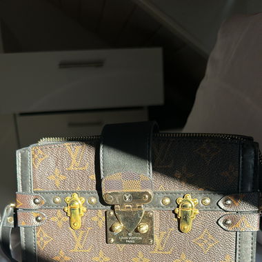 Louis V Tasche