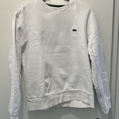 Sweatshirt Lacoste