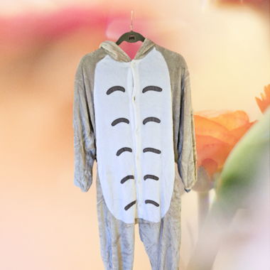 Kigurumi Totoro