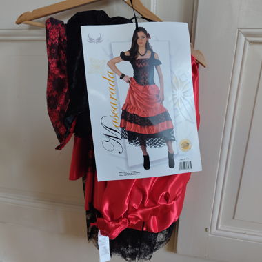 Medieval Costume Dress