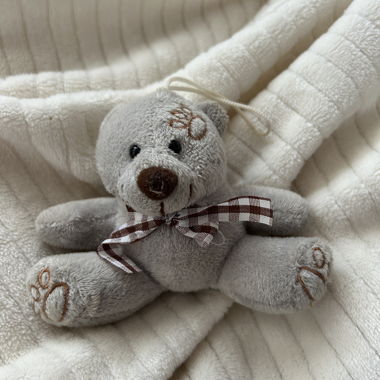 Orsetto di peluche grigio con fiocco