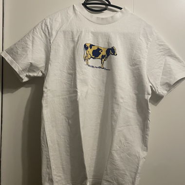 Carhartt-Shirt