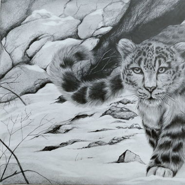 Realistische Bleistiftzeichnung, 30x40