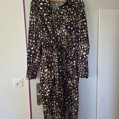 Leopard Print Dress