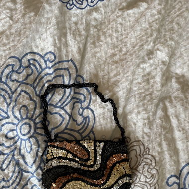 sequin bag