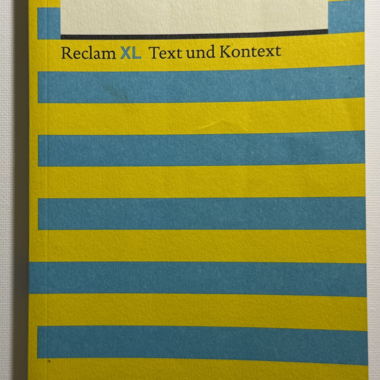 Theodor Storm: Der Schimmelreiter (Reclam XL)