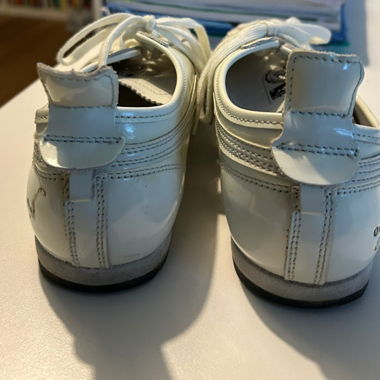 asics tiger