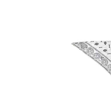 Dickies bandana💿