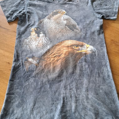 T-Shirt mit Greifvogel-Print