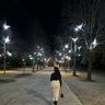 LEIDY