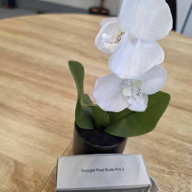 Google Pixel Buds Pro 2 nuovi