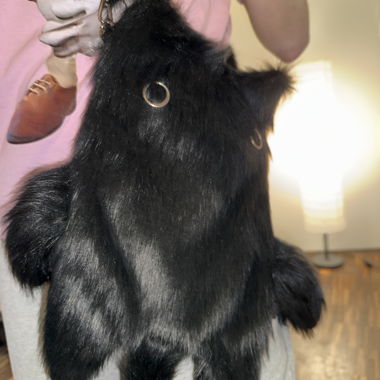 Cat fluffy black bag 