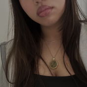 sasirks