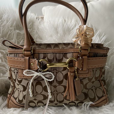 Coach Monogram Handbag