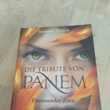 Les Hunger Games