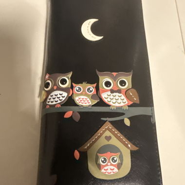 Schwarze Eulen-Geldbörse