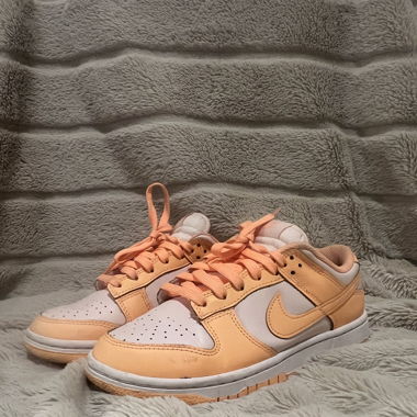 Nike Dunks low