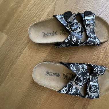 Björndal Finken