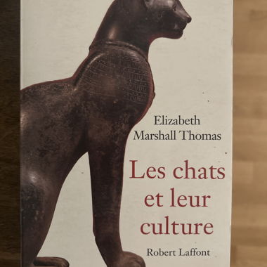 Katzen und ihre Kultur