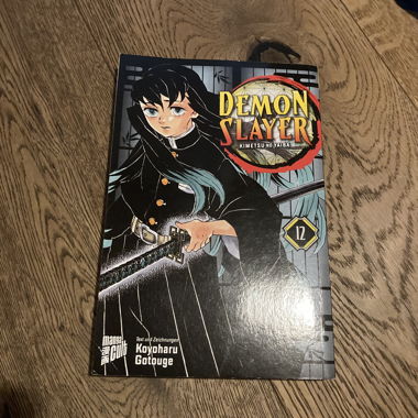 Demon Slayer Manga Volume 12