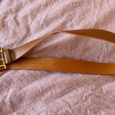Brown Belt Gold Buckle Classic Belt